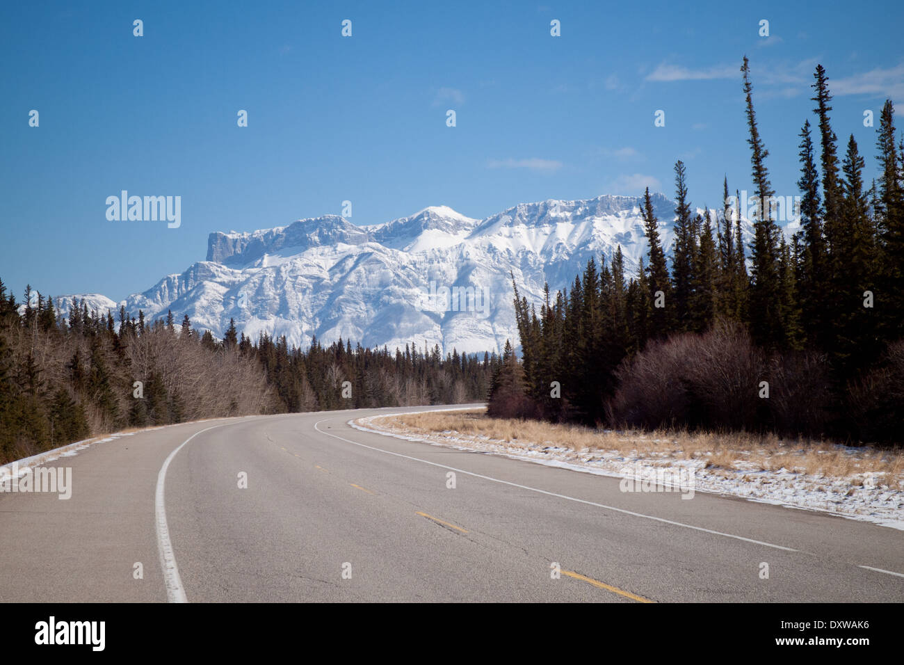 A view of the Yellowhead Highway (Trans-Canada Highway Route 16) in Jasper  National Park, Alberta, Canada Stock Photo - Alamy
