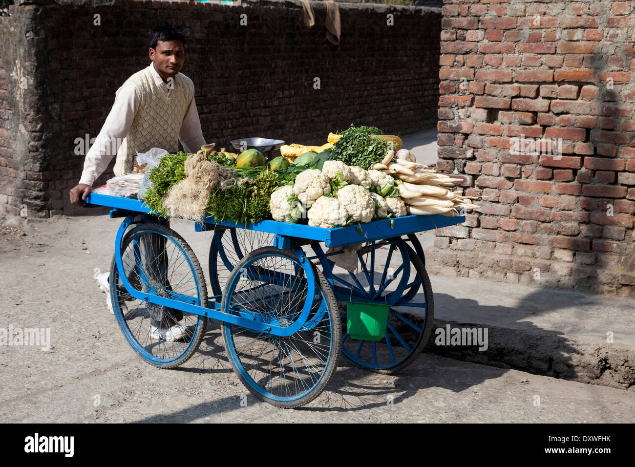 India, Dehradun. Vegetable Salesman Pushing his Cart in Moronwala Village, a suburb of Dehradun. Stock Photo