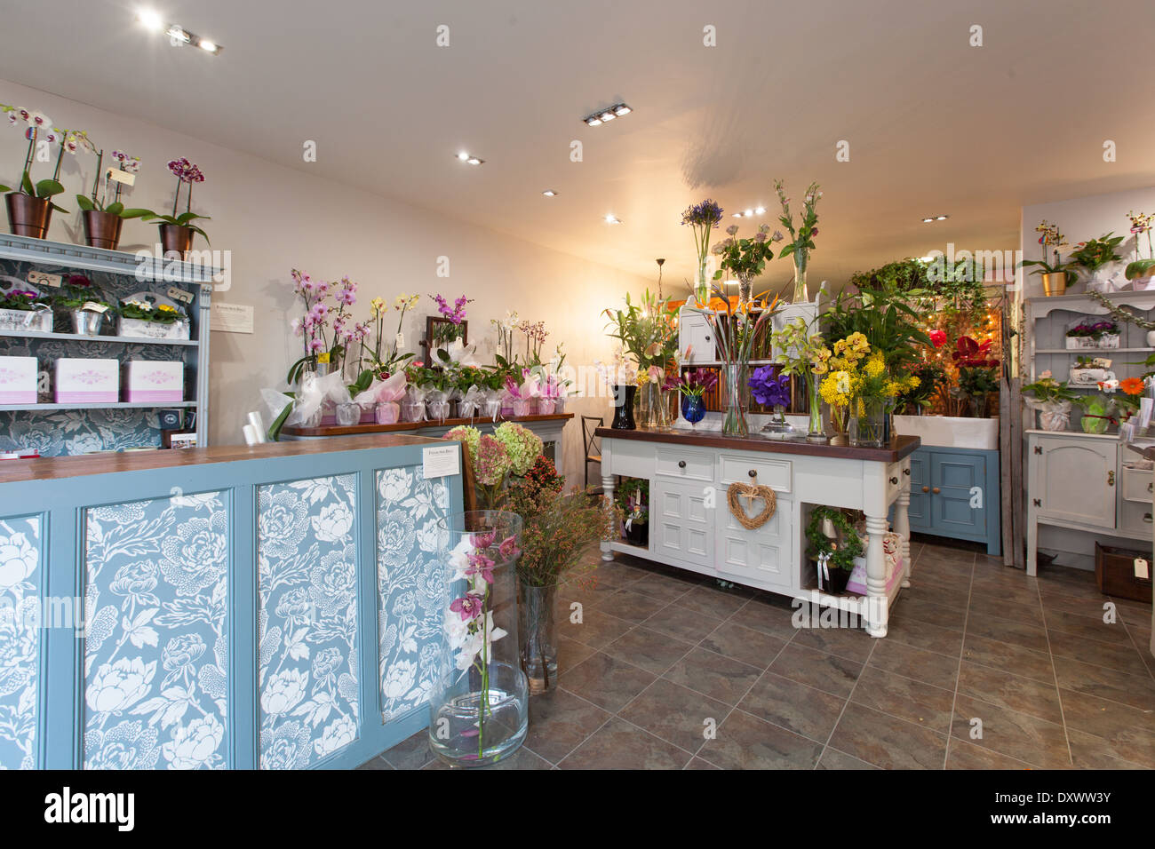 interior of a florist's shop Stock Photo Alamy