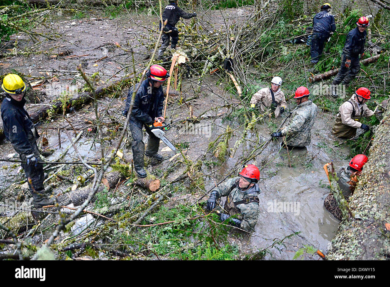 Rescue workers continue efforts to locate victims of a massive landslide that killed at least 28 people and destroyed a small riverside village in northwestern Washington state March 29, 2014 in Oso, Washington. Stock Photo