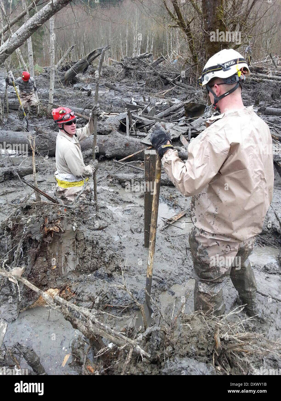 Rescue workers continue efforts to locate victims of a massive landslide that killed at least 28 people and destroyed a small riverside village in northwestern Washington state March 31, 2014 in Oso, Washington. Stock Photo