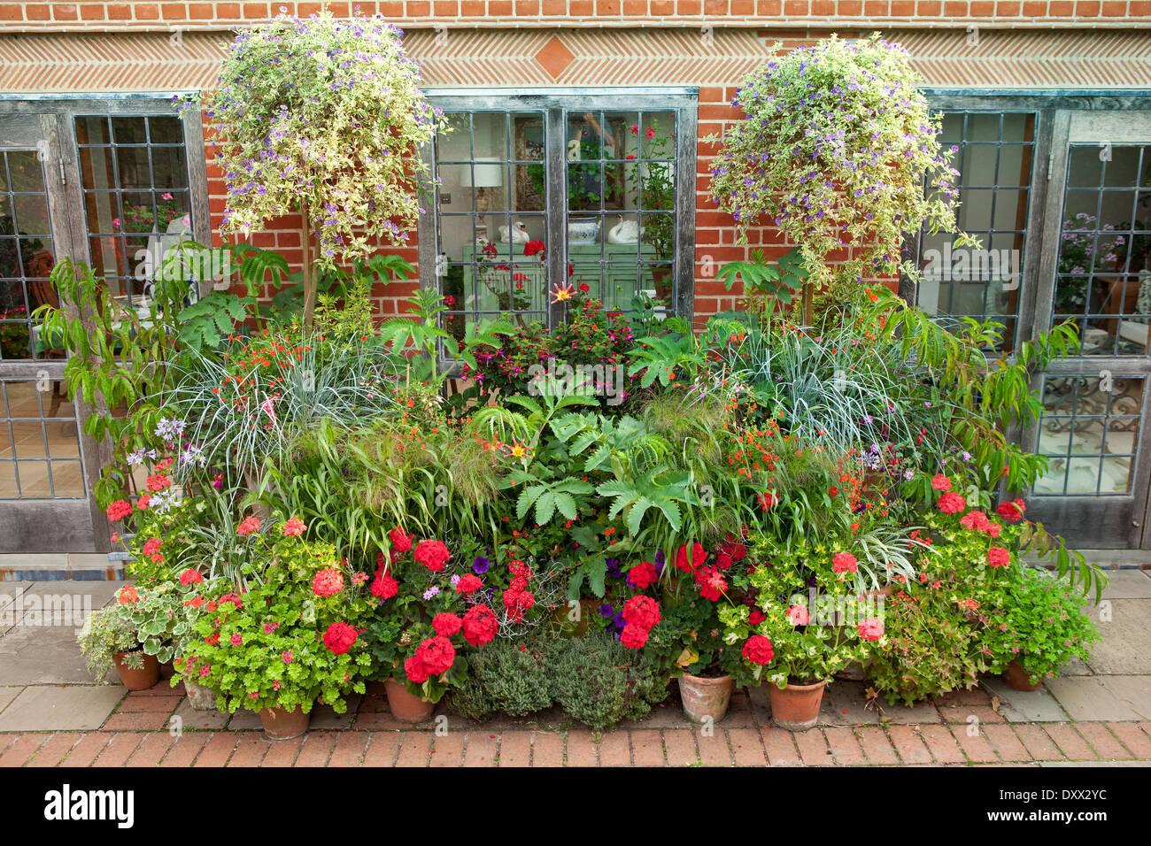 Mixed container combinations and display. August. Summer. Stock Photo