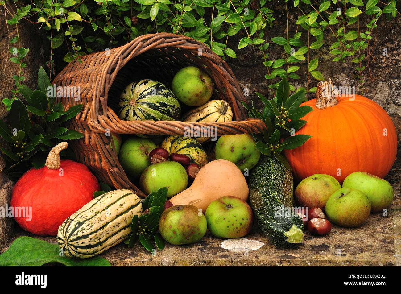 A basketful of fruit and vegetables from the garden in the autumn UK