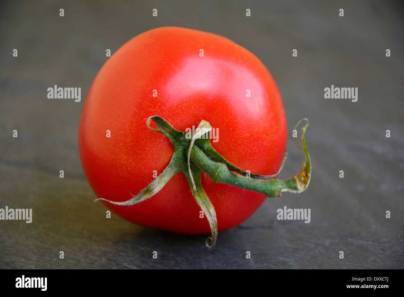 Fresh red tomato on grey black slate macro close-up Frische rote Tomate mit Blattgrün auf einer grauen Schieferplatte Makro Stock Photo