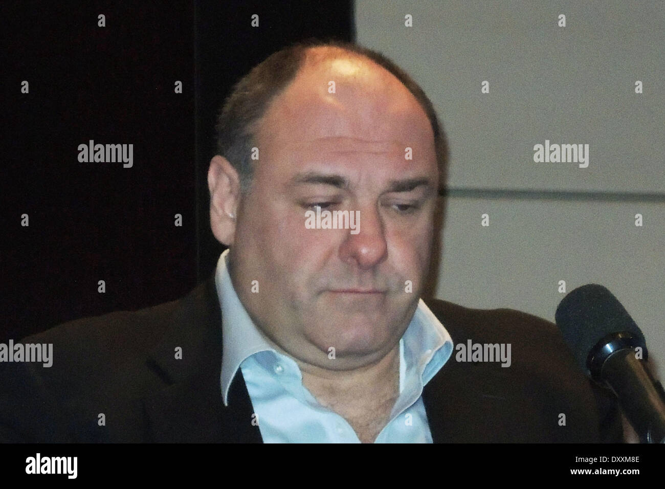 James Gandolfini 'Not Fade Away' press conference at The Mandarin Oriental Hotel Featuring