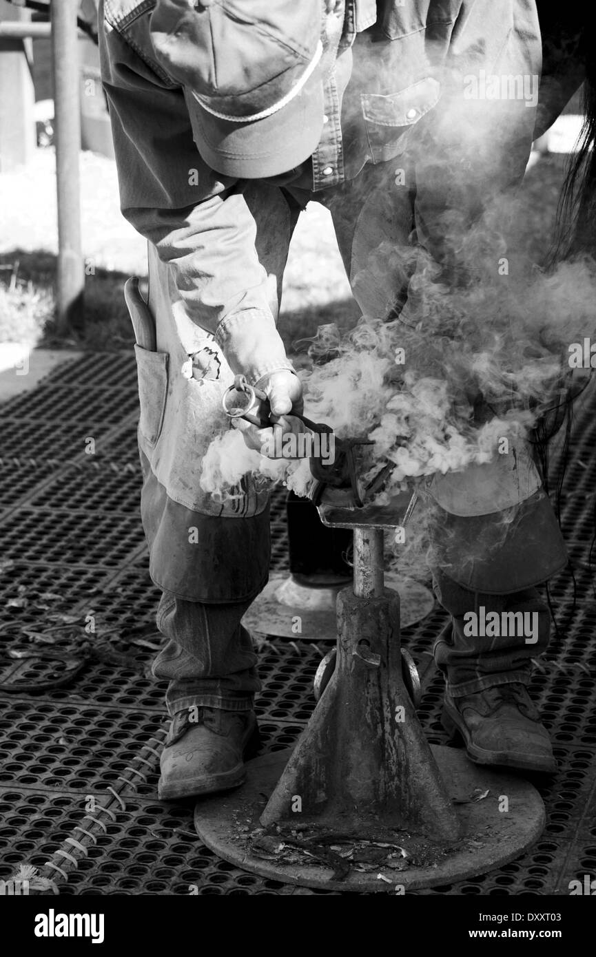 A farrier setting a hot horse shoe, process called hot shoeing Stock