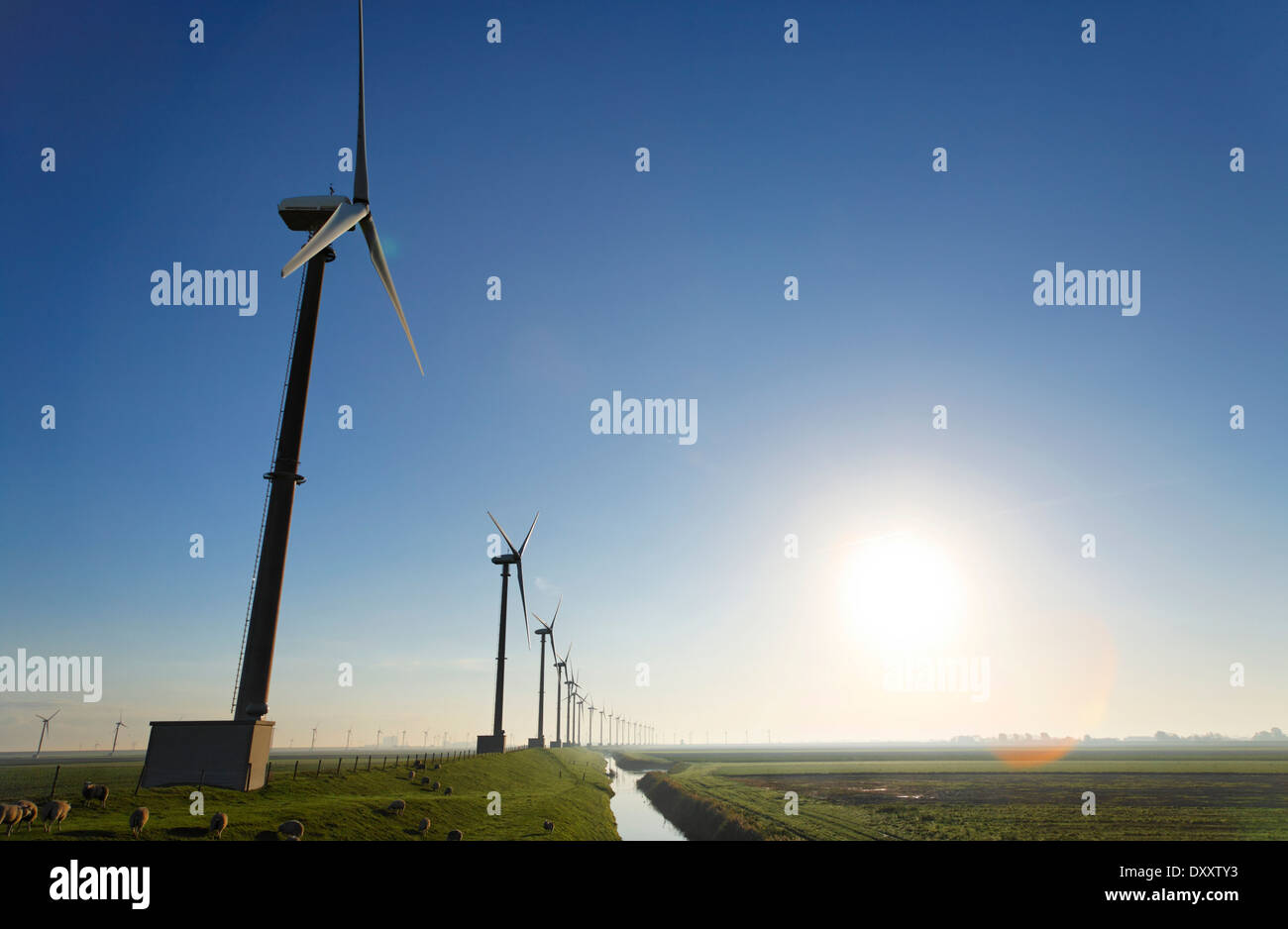 Netherlands, near Delfzijl, wind energy, solar, Niederlande, nahe Delfzijl, Wind Energie, sonne Stock Photo