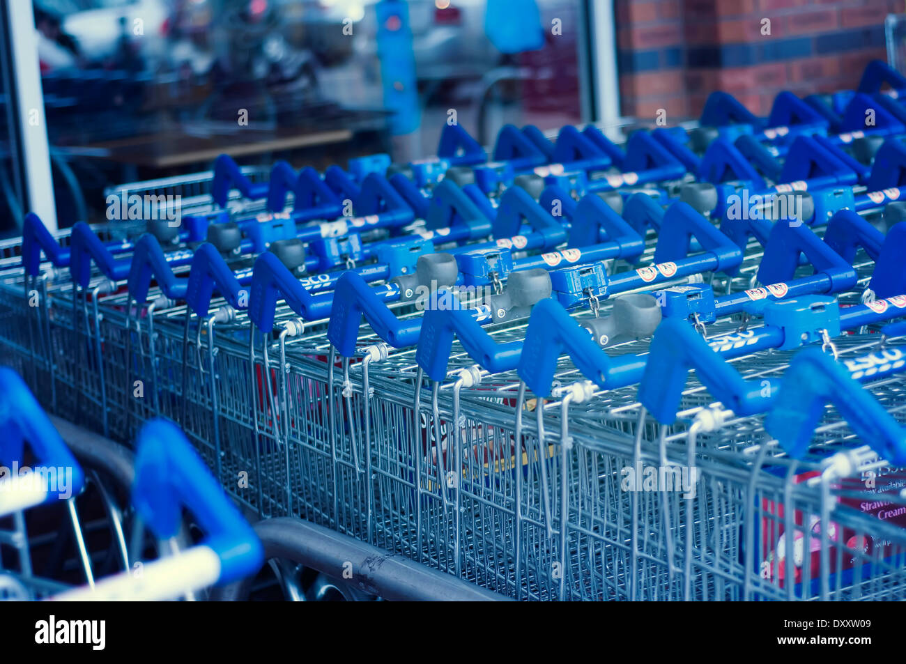 row of shopping trollies Stock Photo