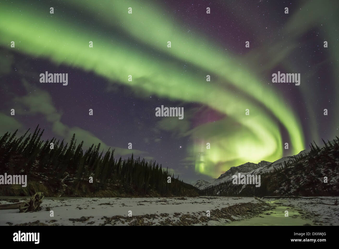 The aurora borealis lights the night sky in Alaska's Brooks Range