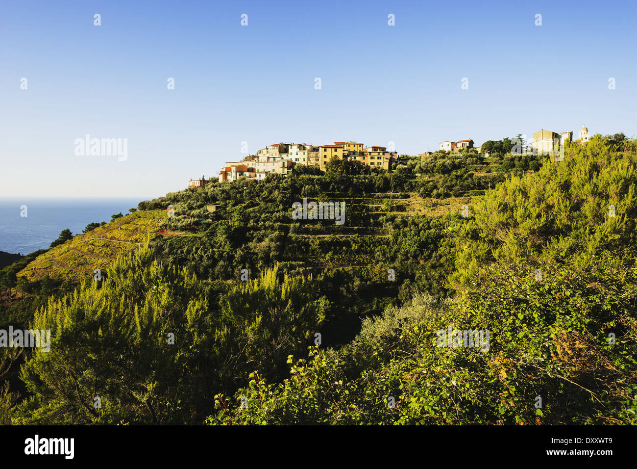 The village of Volastra, Cinque Terre; Volastra, Liguria, Italy Stock Photo