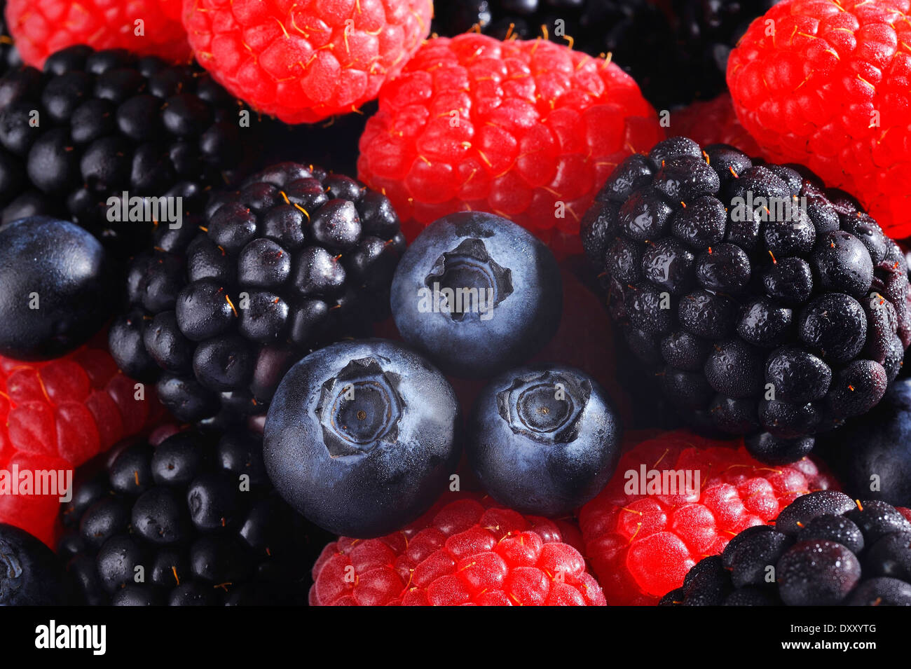 Mixed berries cool background Stock Photo