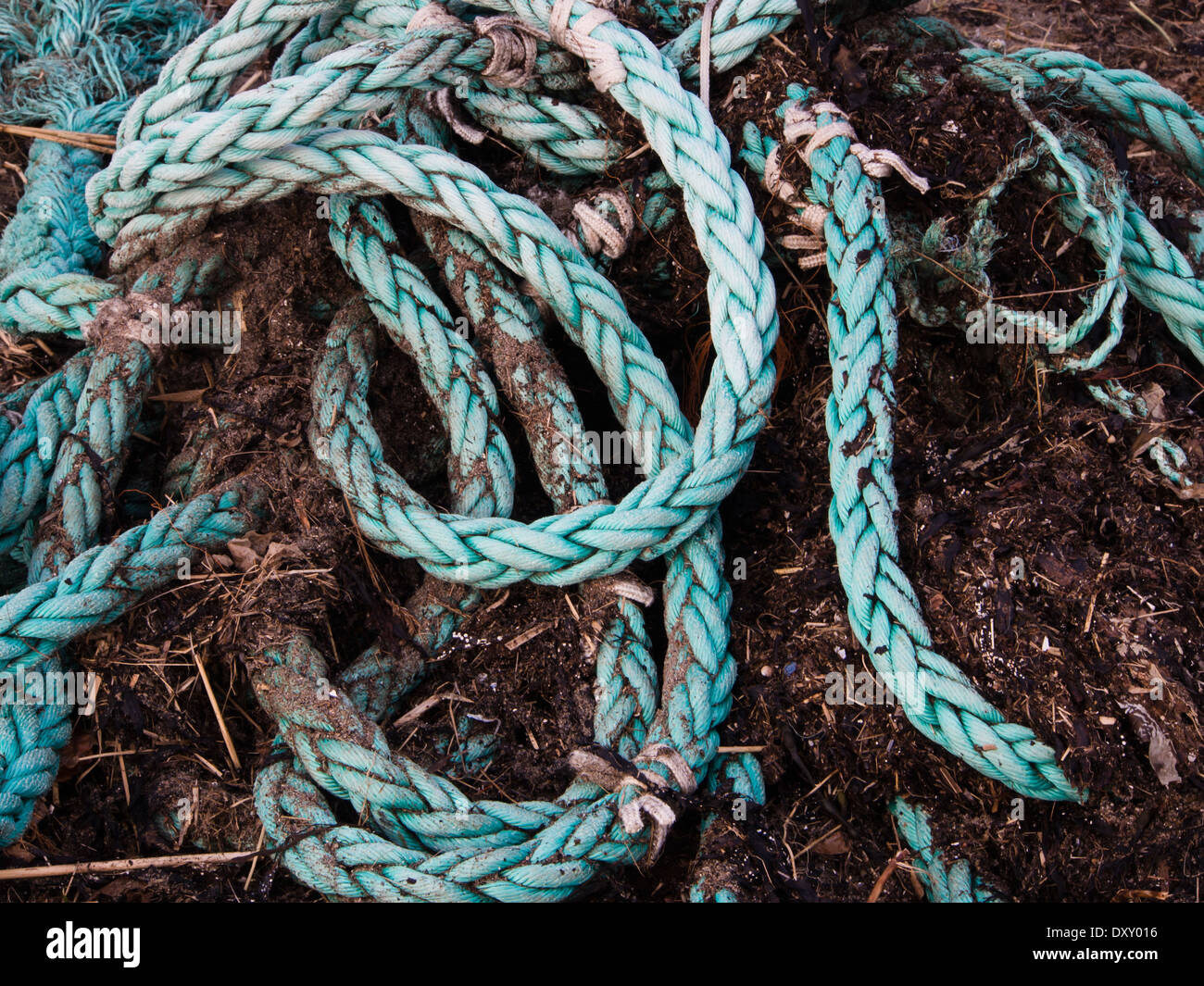 coils of synthetic green rope used on a boat and faded by time in the sea , with debris, found on beach Stock Photo