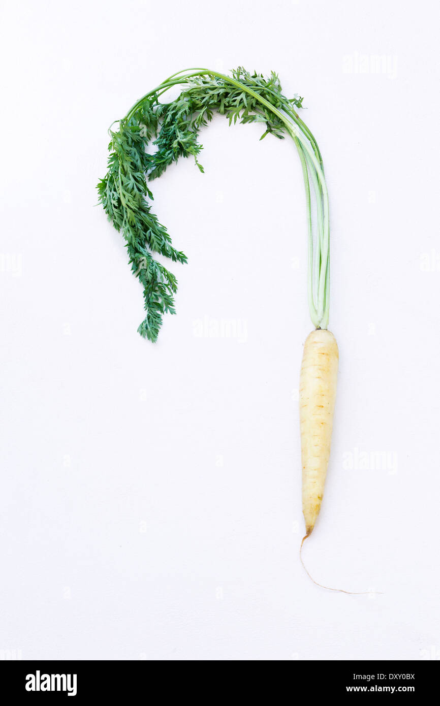 Carotte blanche Cut Out Stock Images & Pictures - Alamy