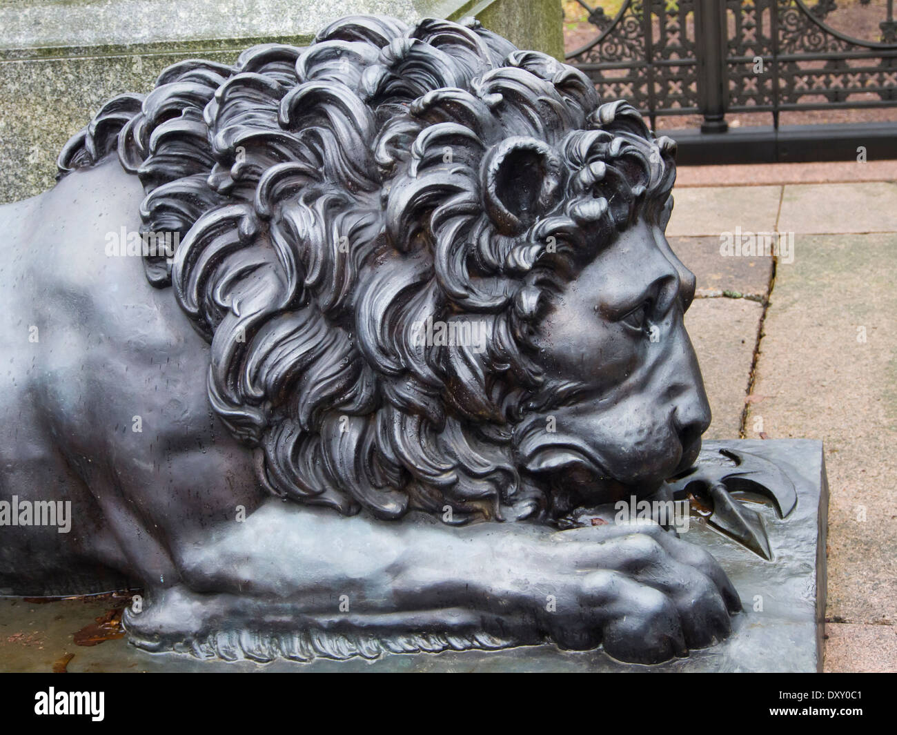 Lion sculpture, commonly used to portray power,here however, a relaxed bronze variety in Oslo Norway Stock Photo