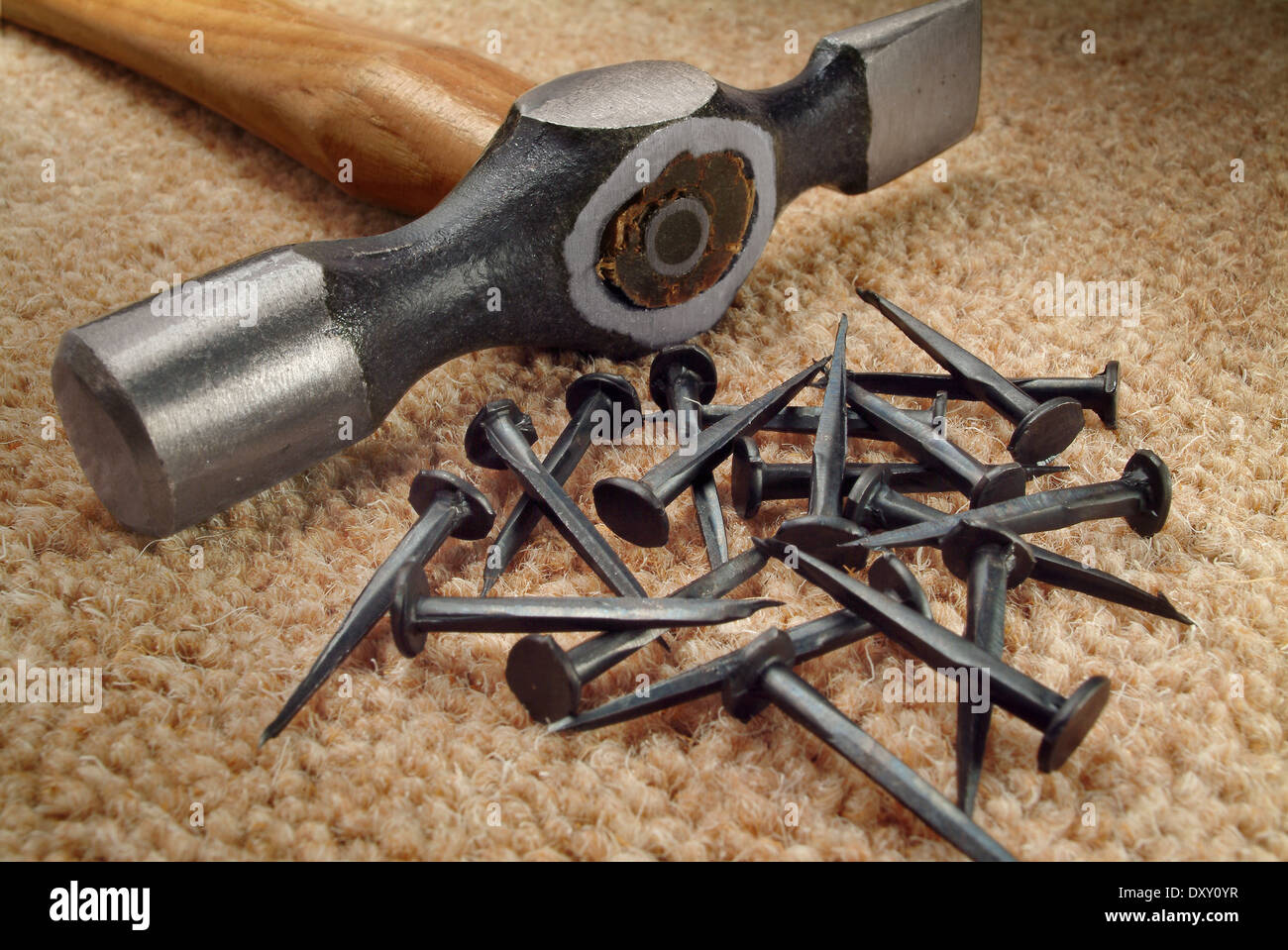 Carpet tacks and light hammer on beige carpet Stock Photo Alamy
