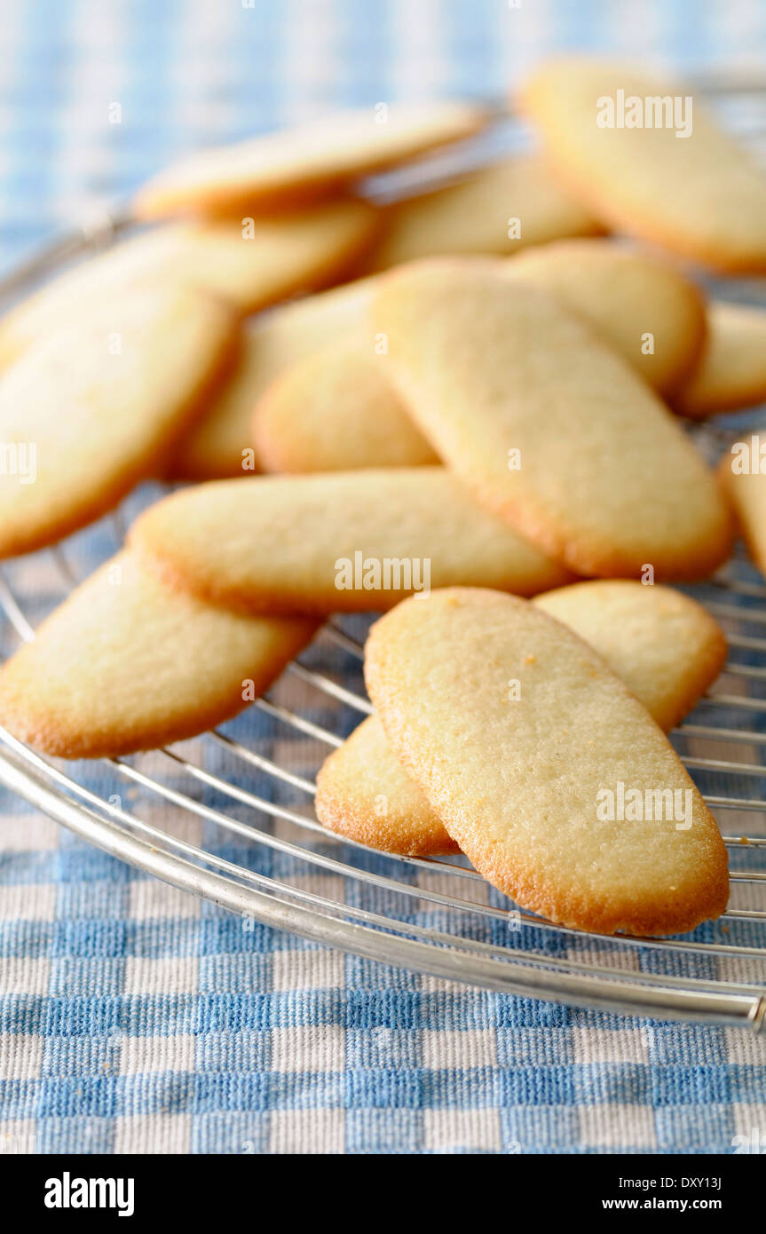 Langue De Chat Hi Res Stock Photography And Images Alamy