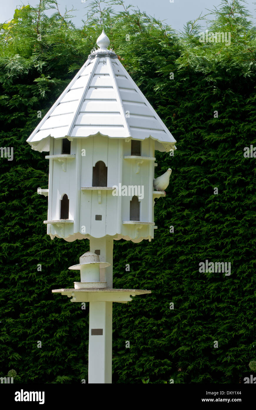 White dovecote Stock Photo Alamy