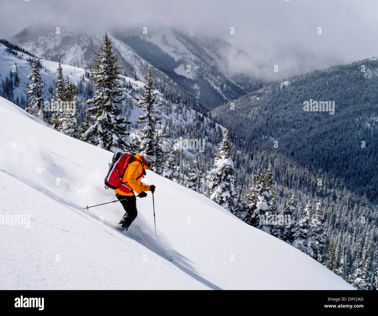 Back country skier skiing fresh powder snow, North Cascades Mountains, Washington state, USA Stock Photo