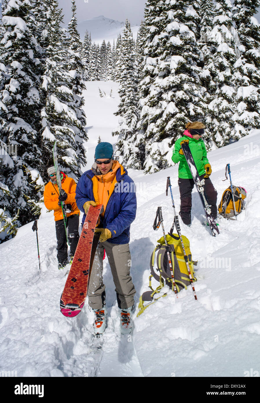 Back country skiers use synthetic skins on skis to aid climbing, North