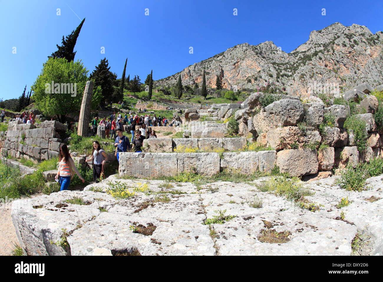 Delphi oracle Delphic greek Apollo ruins spring Stock Photo