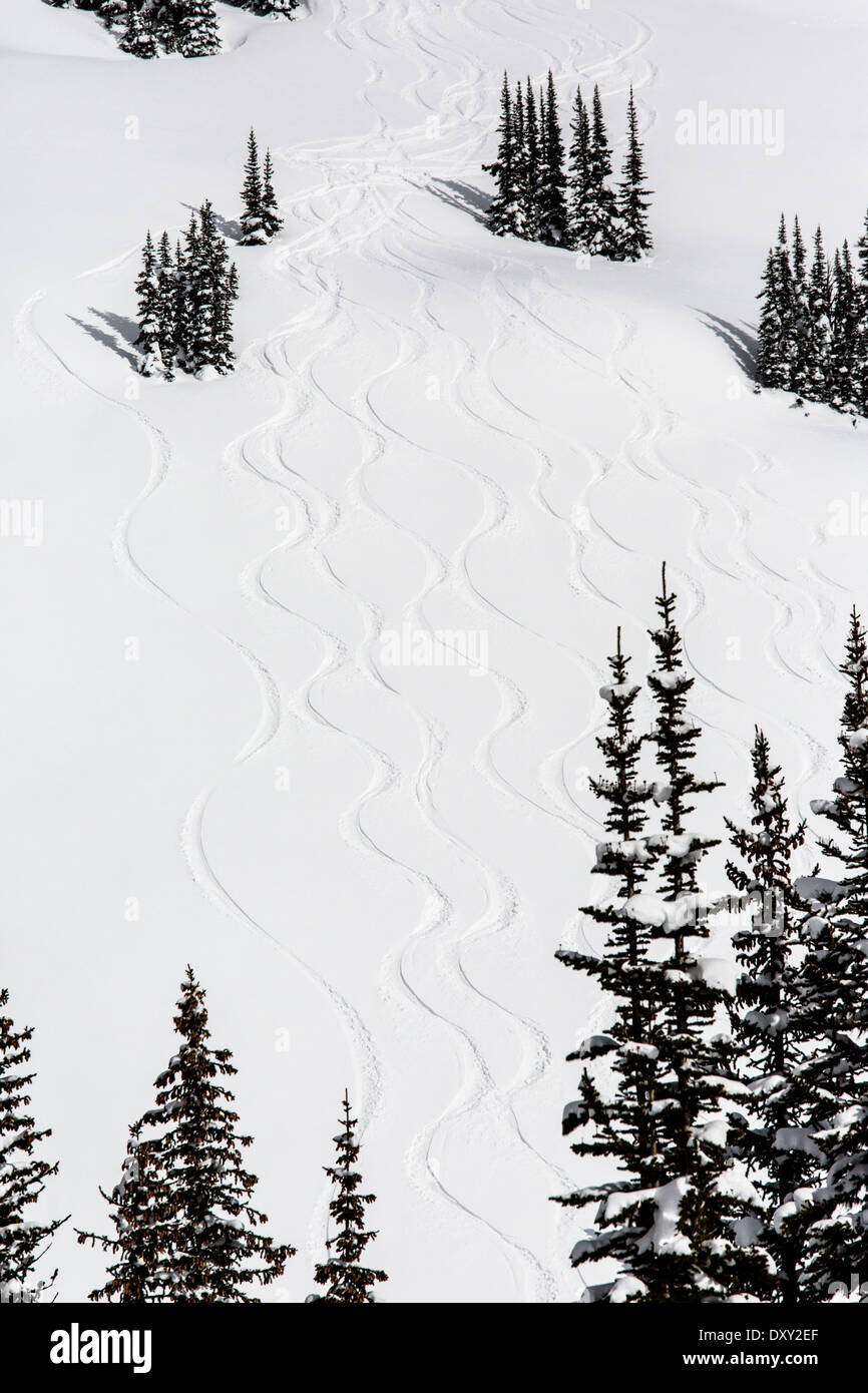 Winter view of back country skiers tracks in snow, North Cascades, Washington state, USA Stock Photo