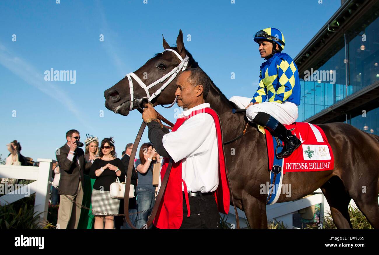 New Orleans, LA, USA. 29th Mar, 2014. March 29, 2014: Hats and high fashion with a Mardi Gras flair were the focus on Louisiana Derby Day at the Fairgrounds Race Course in New Orleans, LA. Scott Serio/ESW/CSM/Alamy Live News Stock Photo