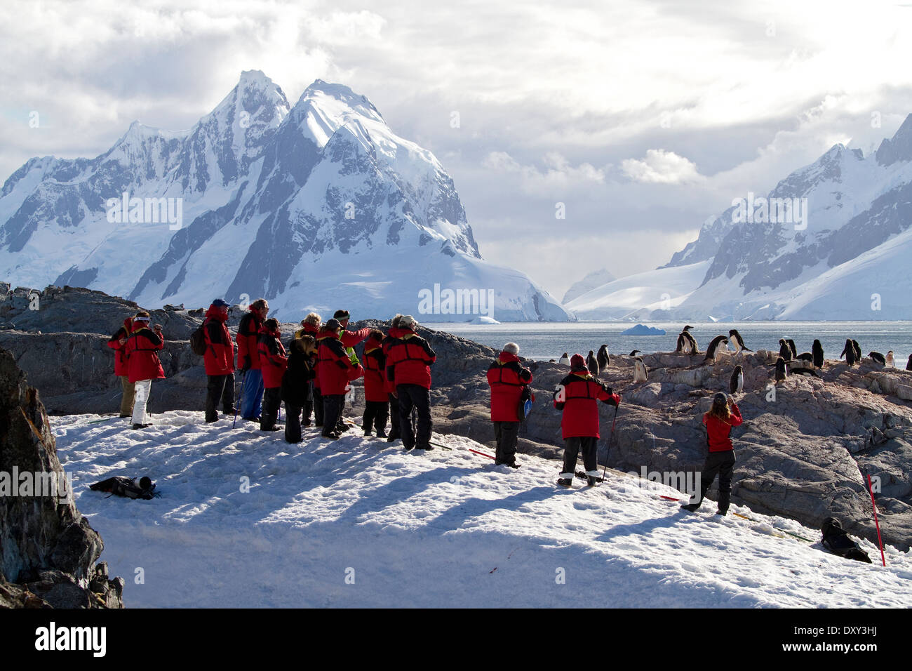 Antarctica tourism with cruise ship passengers viewing Antarctic penguins and mountain, mountains landscape. Stock Photo