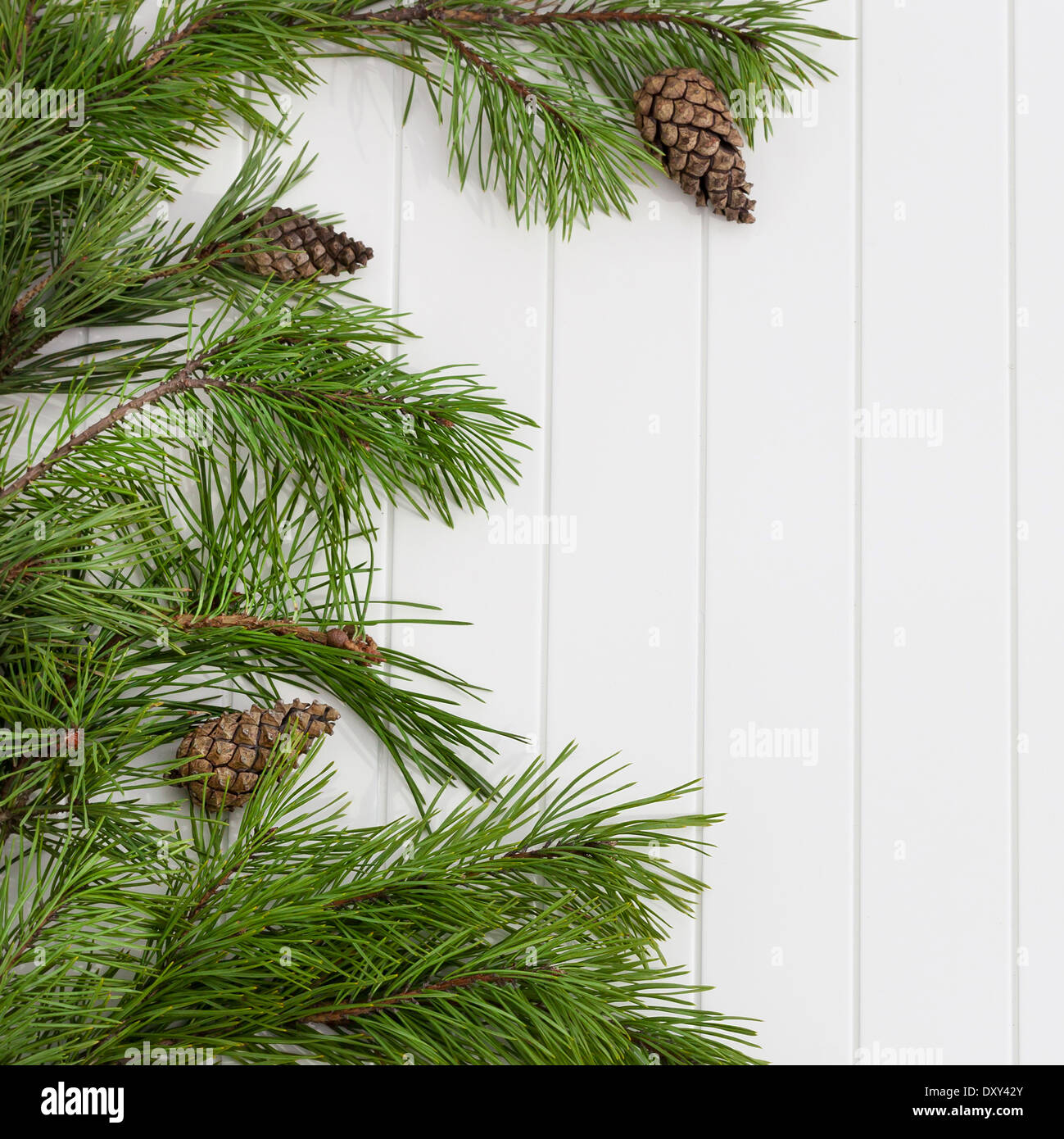 Decorated Evergreen Branches - Generative AI 31403764 Stock Photo