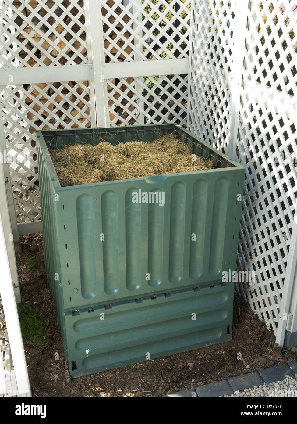 Green plastic compost bin full with lawn cut grass Stock Photo Alamy