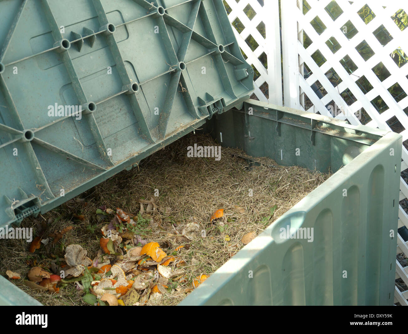 Green plastic compost bin full with lawn cut grass and domestic food scraps Stock Photo