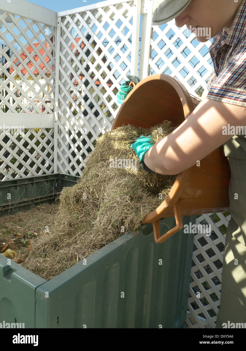 Female gardener dumping cut lawn grass into green plastic compost bin