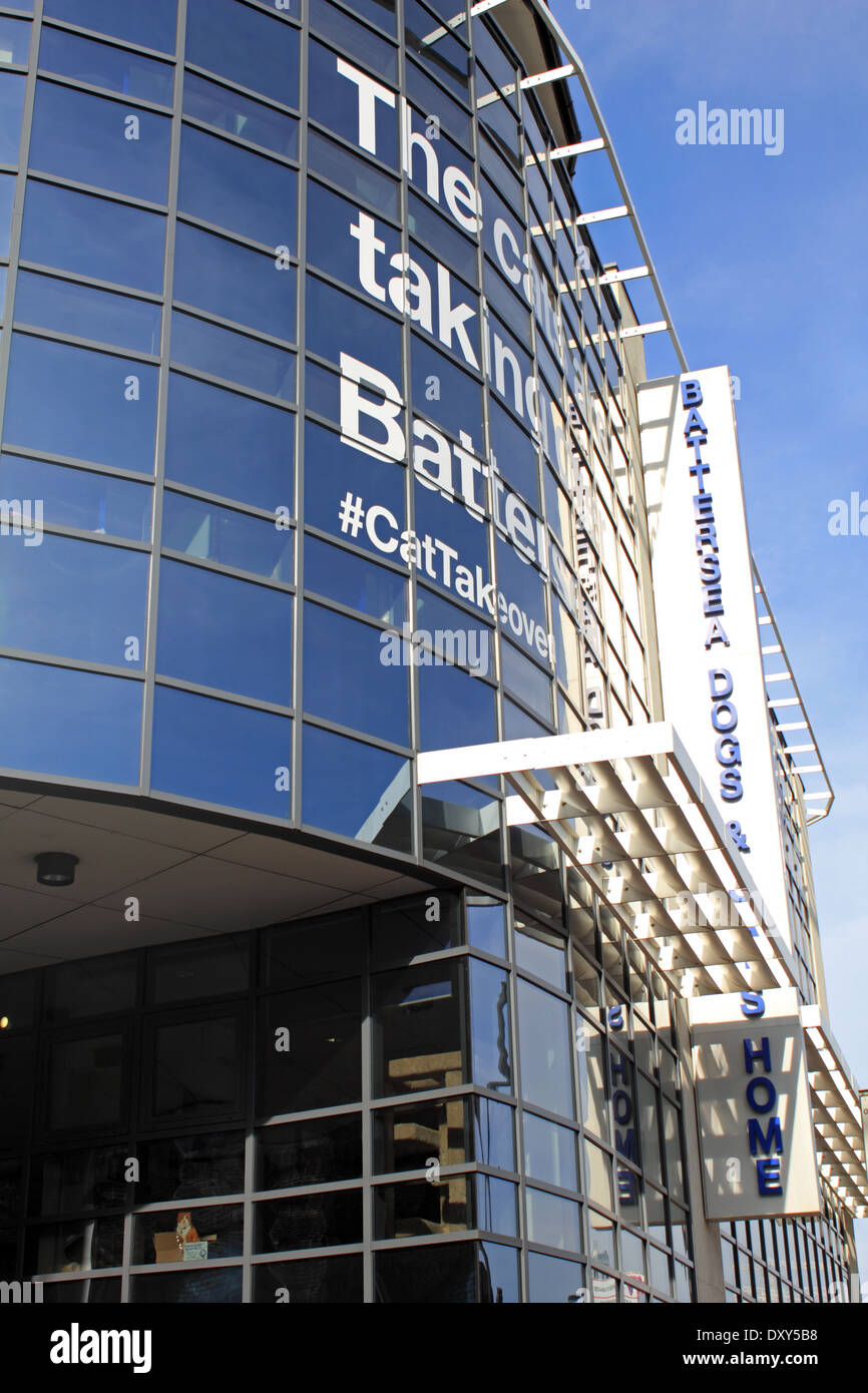 Battersea Cats and Dogs Home, London England UK Stock Photo Alamy