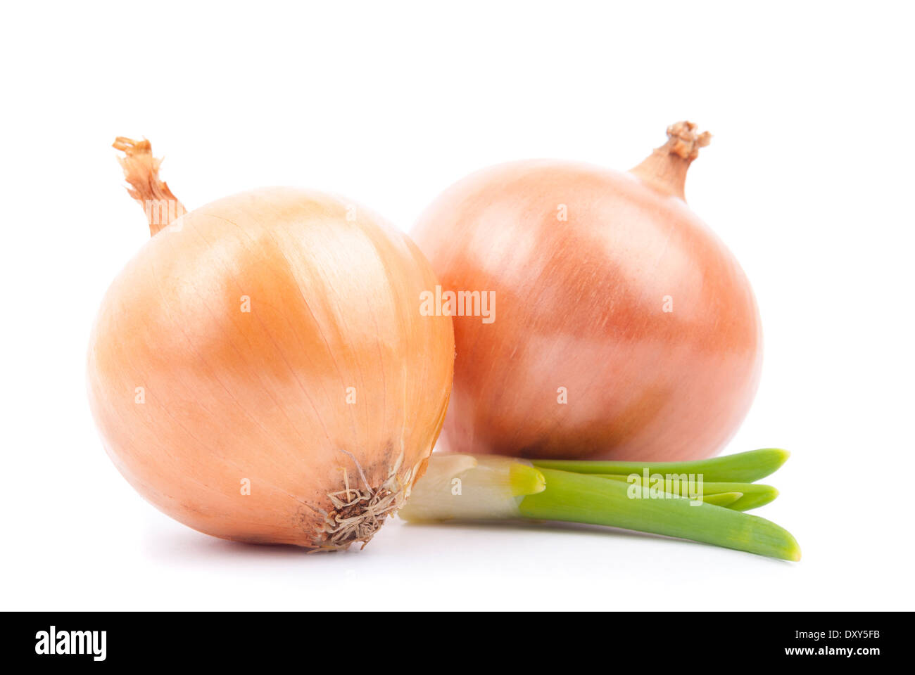 Two onions with greens on a white background. Stock Photo