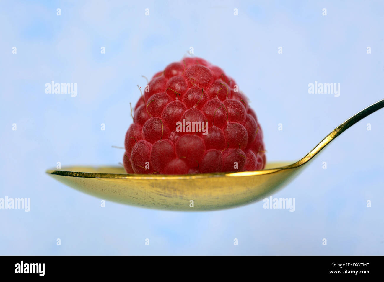 raspberry on the spoon, isolated Stock Photo - Alamy