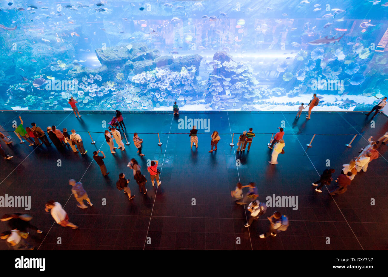A view from above of people in the Dubai mall looking at the Dubai Aquarium, Dubai, UAE, United Arab Emirates Stock Photo