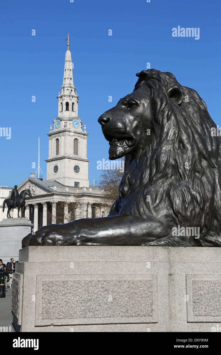 Statue of lion by Landseer beneath Nelson's Column and St Martins in the Fields church in Trafalgar Square, London, England Stock Photo