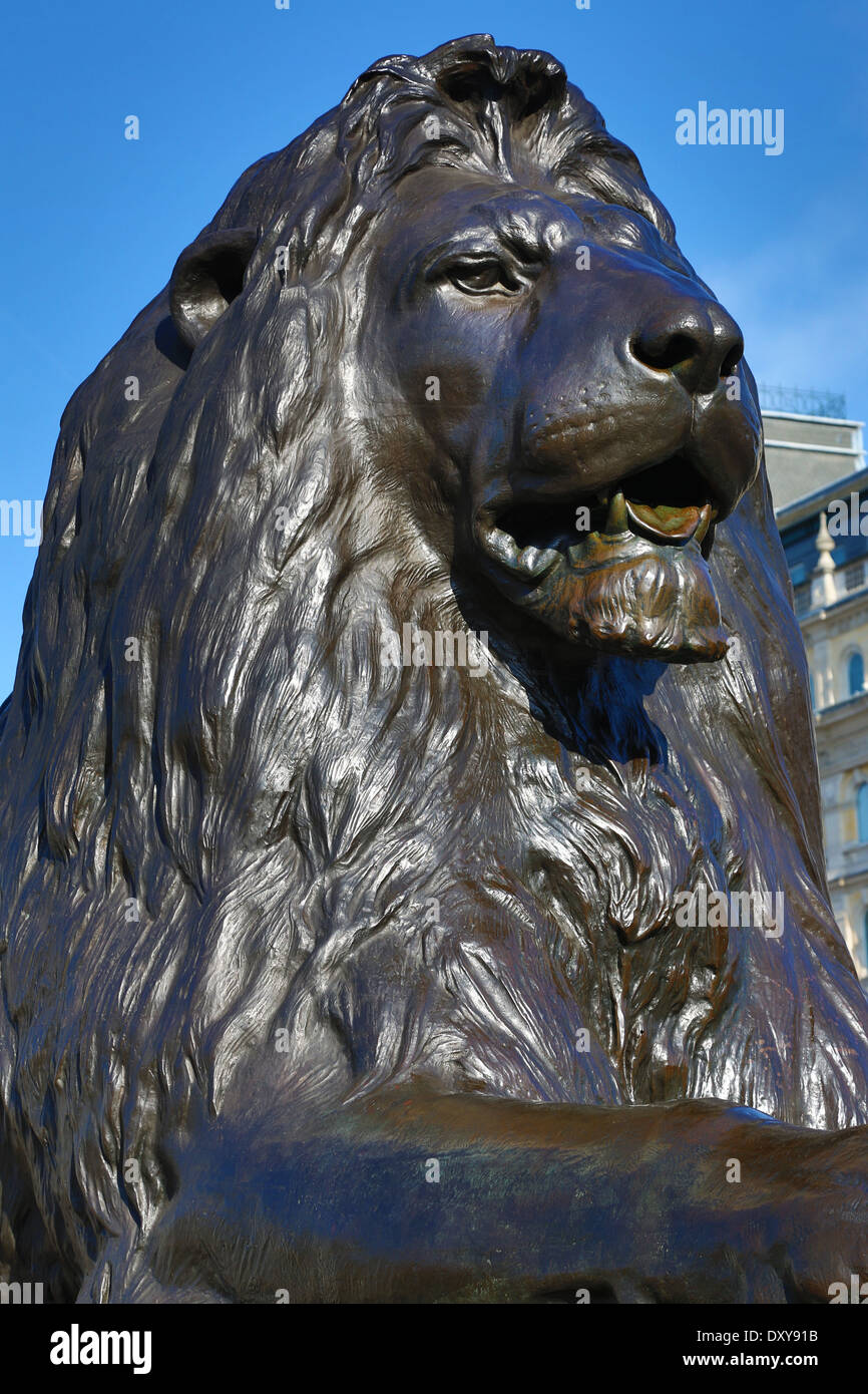 Statue of lion by Landseer beneath Nelson's Column in Trafalgar Square, London, England Stock Photo