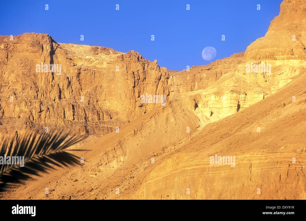 Daylight moon over the Judaean Desert, Israel Stock Photo