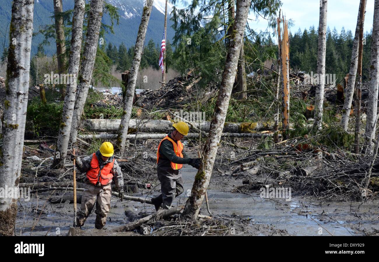Rescue workers continue efforts to locate victims of a massive landslide that killed at least 28 people and destroyed a small riverside village in northwestern Washington state April 1, 2014 in Oso, Washington. Stock Photo