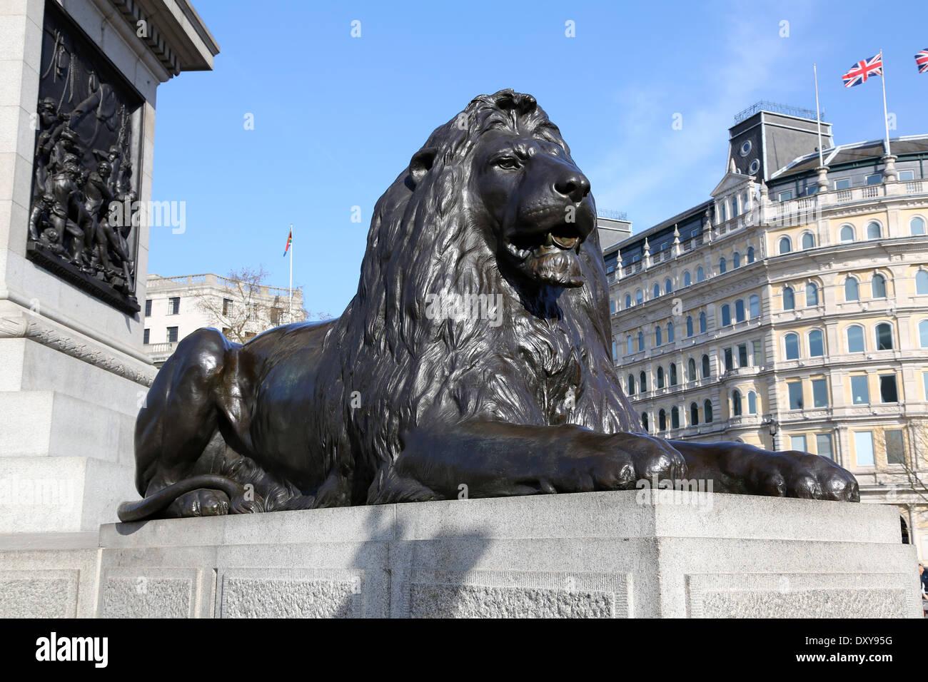 Trafalgar square lions london hi-res stock photography and images - Alamy