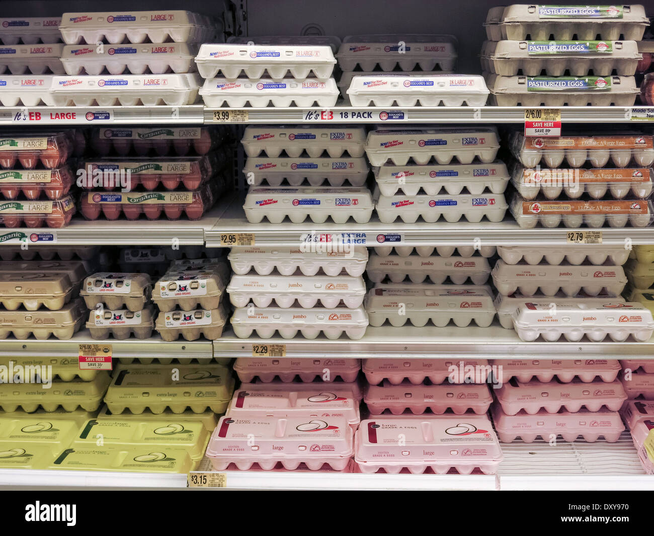 Publix employee stock options