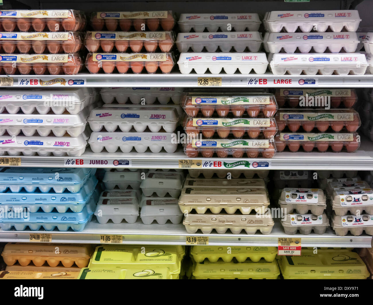 Publix employee stock options