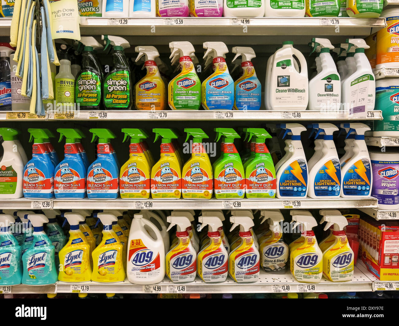 Home Cleaning Section, Publix Super Market in Tampa, Florida Stock Photo