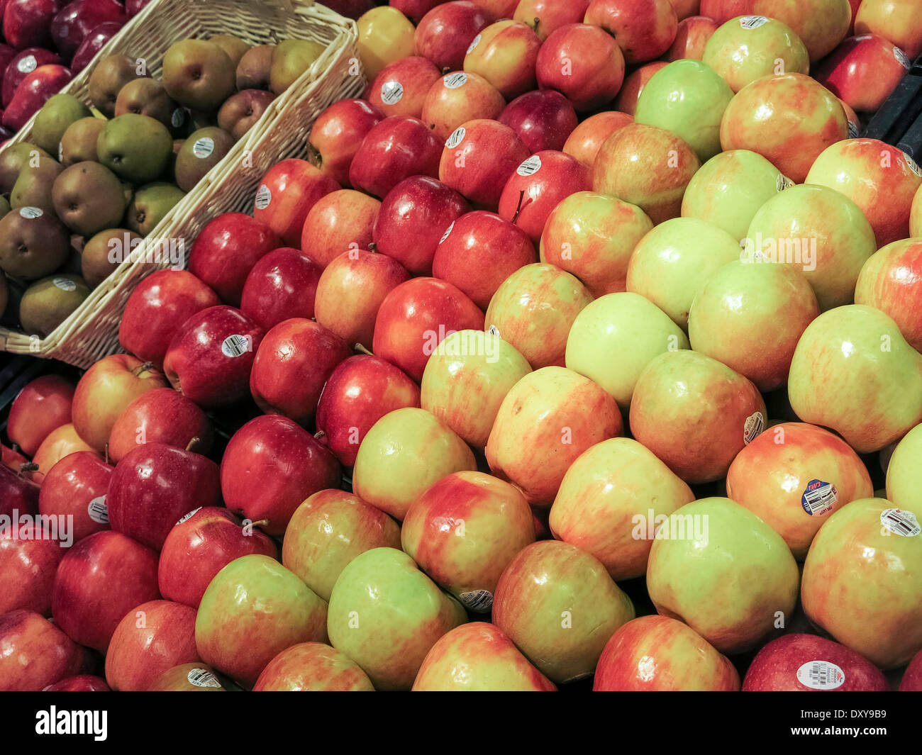 Apples in Fresh Produce Section, Publix Super Market in Tampa, Florida