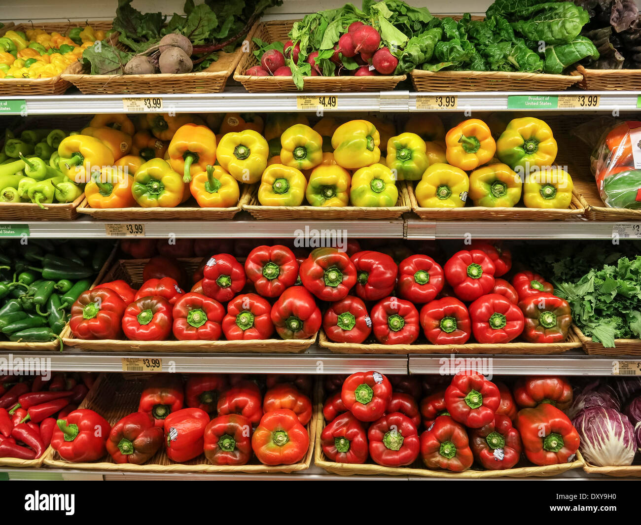 Bell Peppers in Fresh Produce Section, Publix Super Market in Tampa