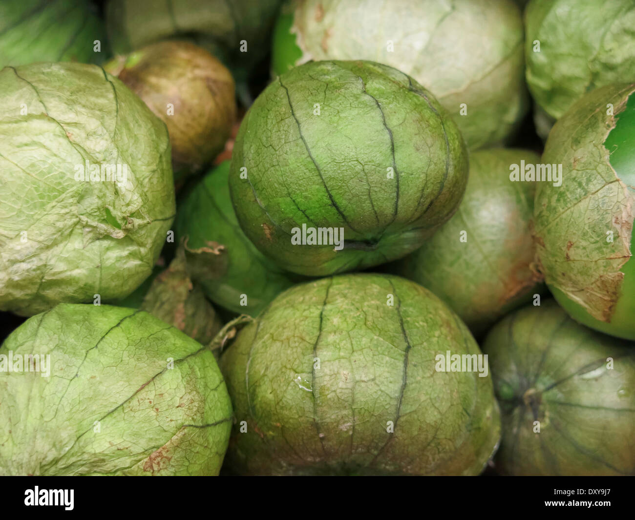 Fresh Tomatillos Stock Photo