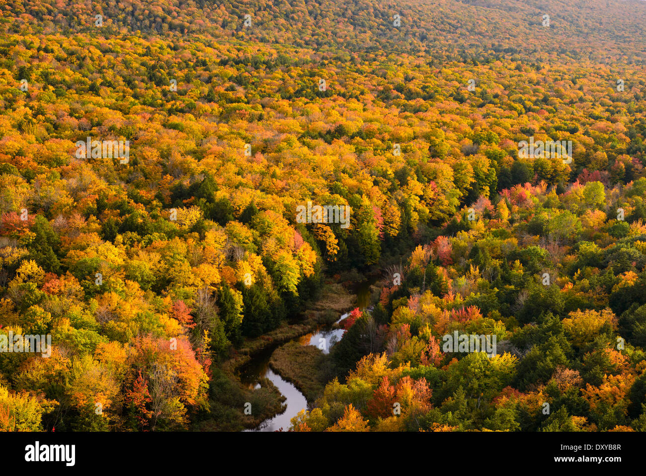 Porcupine mountains hires stock photography and images Alamy