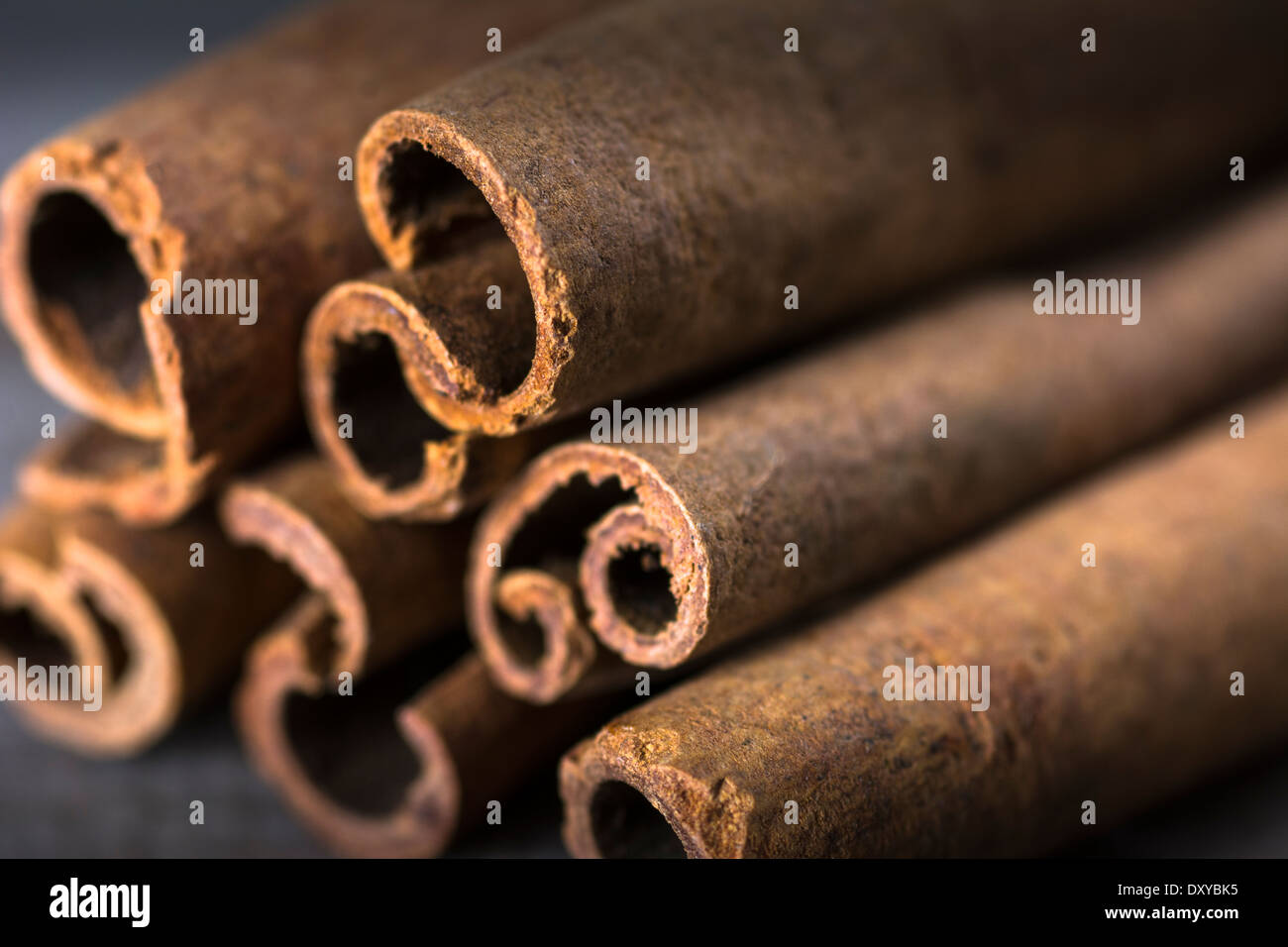Closeup of cinnamon sticks or bark set on wood in macro Stock Photo