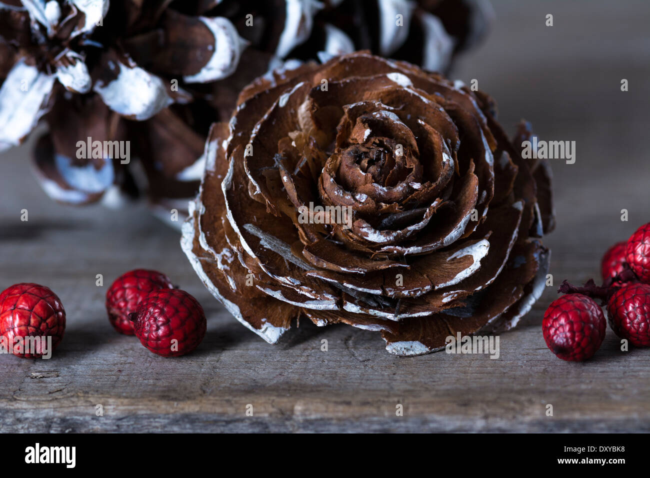 Pine fir cones holly berries hi-res stock photography and images - Alamy
