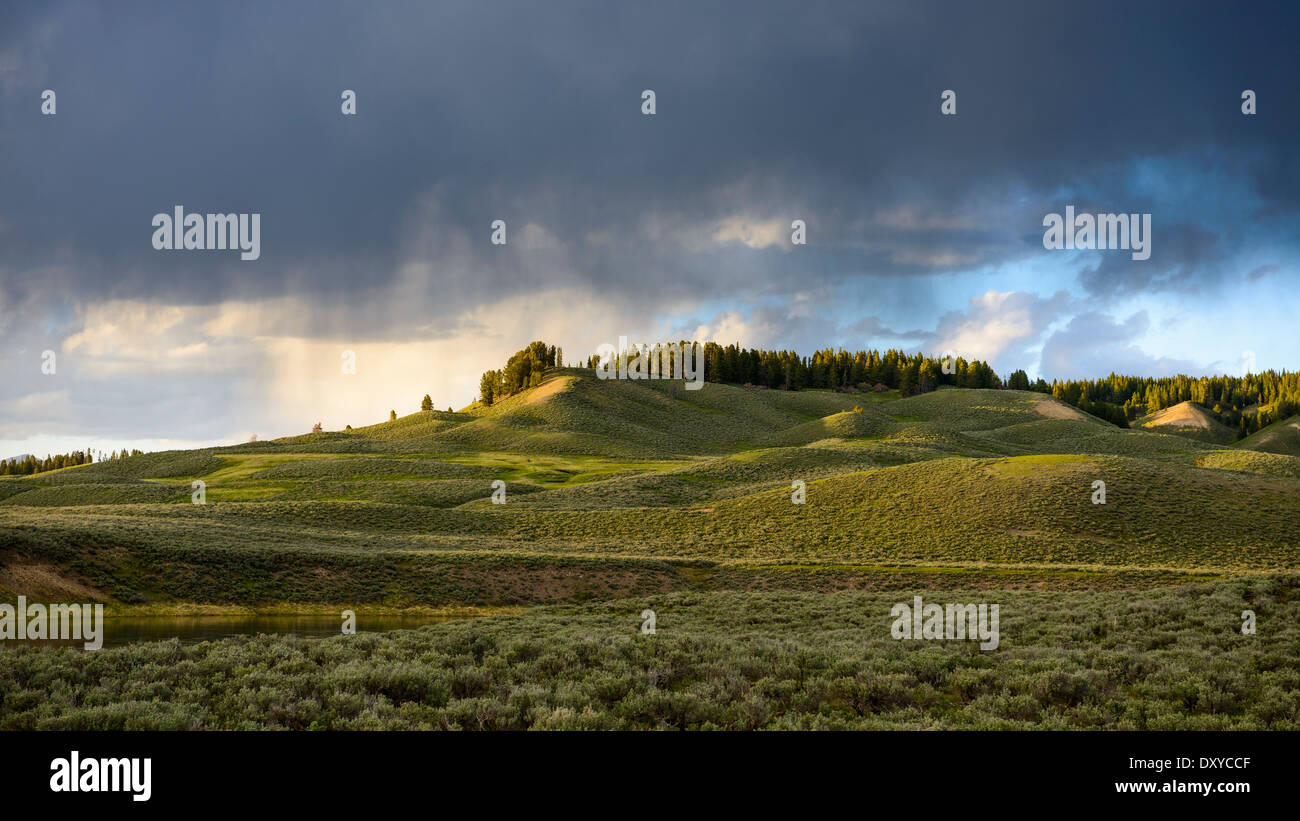 Hayden Valley in Yellowstone National Park at sunset with gathering storm. Stock Photo